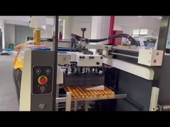 Μηχανή βερνίκωσης UV-FHSGJ σειράς