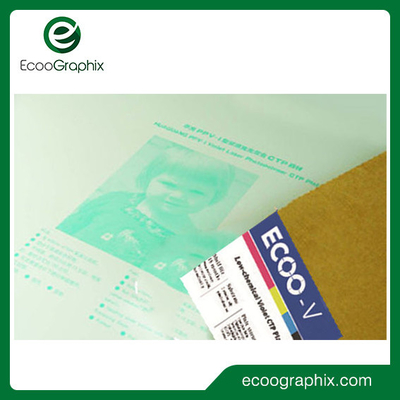 Violet Printing Plate Photopolymer Negative Working for the paper printing